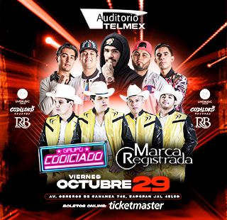 GRUPO CODICIADO Y MARCA REGISTRADA